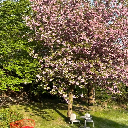 Tannenweg Goehren (Ruegen)